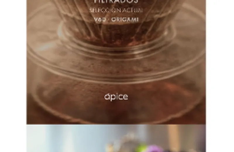 Specialty filter coffee preparation at Ápice Café
